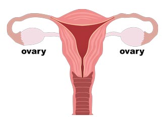 Talcum Powder Ovarian Cancer Risk