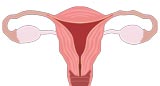 Talcum Powder Ovarian Cancer Risk
